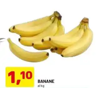 DPiù Banane offerta