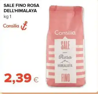 Tigre Sale fino rosa dell'himalaya offerta