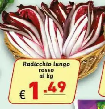 Ipercarni Radicchio offerta