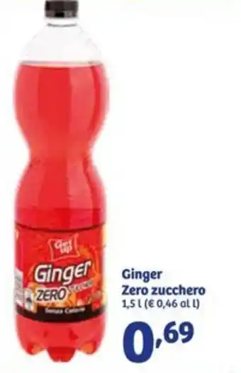 In'S Mercato Ginger Zero zucchero offerta