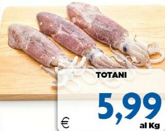 DEM Pesce offerta
