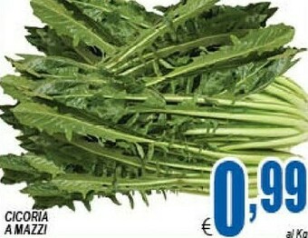DEM Verdure offerta