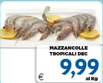 DEM Mazzancolle offerta