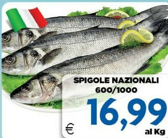 DEM Pesce offerta