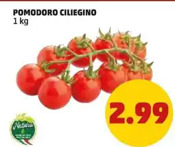 PENNY Pomodoro ciliegino offerta