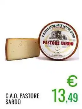 Sugros C.a.o. pastore sardo offerta