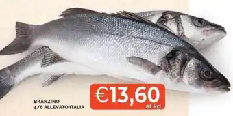 Mercatò Branzino 4/6 allevato italia offerta