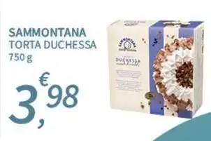 SpeSì Sammontana torta duchessa offerta