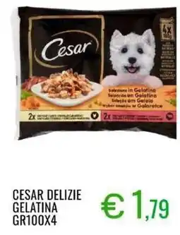 Sugros Cesar delizie gelatina offerta