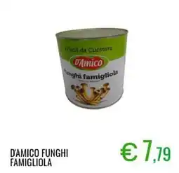 Sugros D'amico funghi famigliola offerta