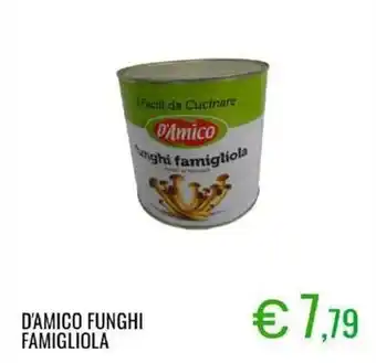 Sugros D'amico funghi famigliola offerta