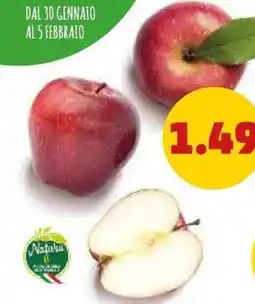 PENNY Mele red delicious al kg offerta