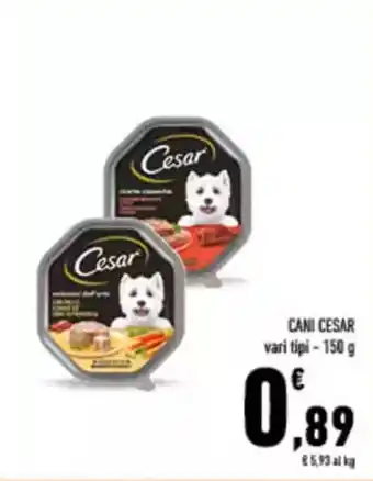 Conad City Cani CESAR offerta