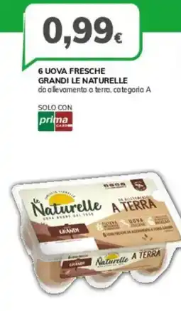 Basko 6 uova fresche grandi LE NATURELLE offerta