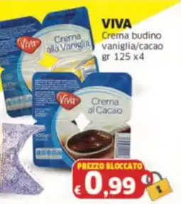 Mercati Alimentari VIVA Crema budino vaniglia/cacao offerta