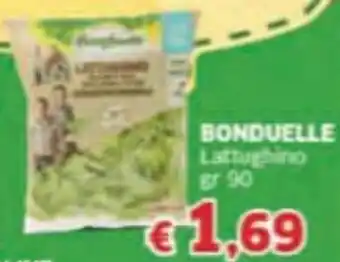 Mercati Alimentari BONDUELLE Lattughino offerta