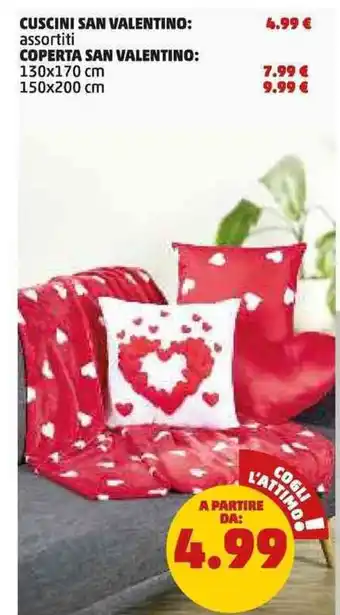 PENNY Cuscini san valentino: assortiti coperta san valentino: offerta