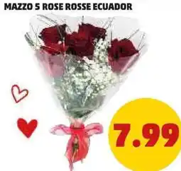 PENNY Mazzo 5 rose rosse ecuador offerta