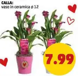 PENNY Calla: vaso in ceramica ø 12 offerta