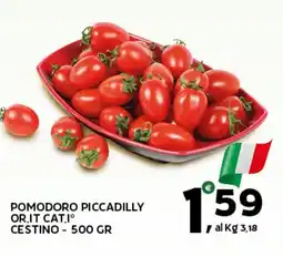 Extra Supermercati Pomodoro piccadilly offerta