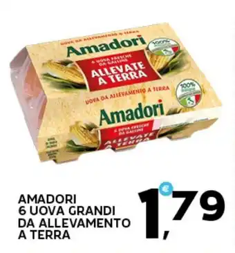 Extra Supermercati Amadori 6 uova grandi da allevamento a terra offerta