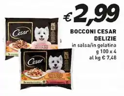 Coal BOCCONI CESAR DELIZIE in salsa/in gelatina offerta