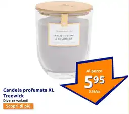 Action Candela profumata XL Treewick offerta