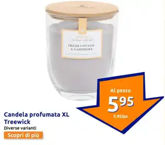 Action Candela profumata XL Treewick offerta