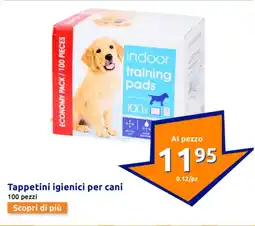 Action Tappetini igienici per cani offerta