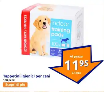 Action Tappetini igienici per cani offerta