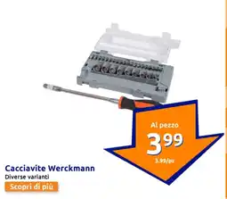 Action Cacciavite Werckmann offerta