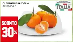 Pam Clementine in foglia offerta