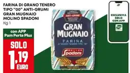 Pam Farina di grano tenero tipo "00" anti-grumi gran mugnaio MOLINO SPADONI offerta