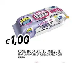 Galassia Conf. 100 salviette imbevute offerta