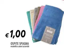 Galassia Ospite spugna offerta