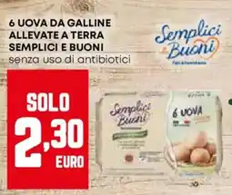 Pam 6 uova da galline allevate a terra SEMPLICI E BUONI offerta