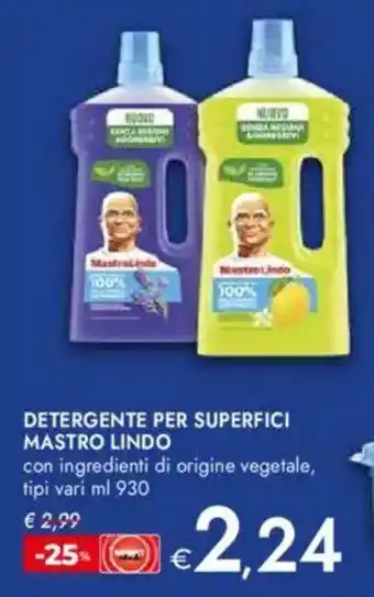 Bennet Detergente per superfici MASTRO LINDO offerta