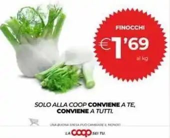 Ipercoop Finocchi offerta