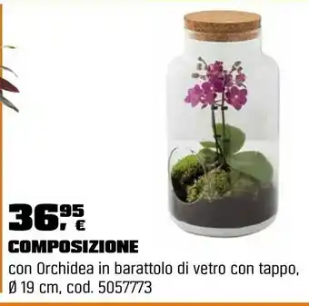 Composizione orchidea 3 rami