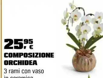 OBI Composizione con orchidea offerta