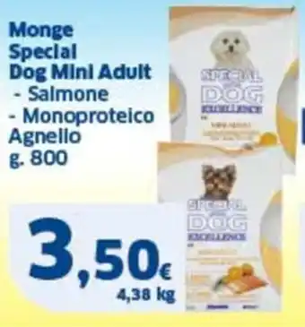 Ok Sigma Monge special dog mini adult - salmone - Monoproteico Agnello offerta