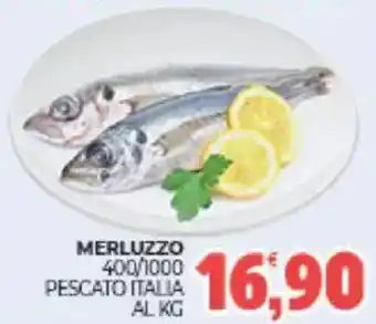 Eté Merluzzo 400/1000 pescato italia al kg offerta