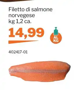 GrosMarket Filetto di salmone norvegese offerta