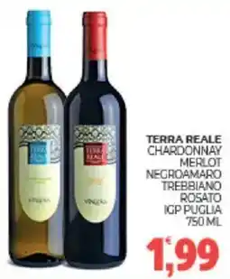 Eté Terra reale chardonnay merlot negroamaro trebbiano rosato igp puglia offerta