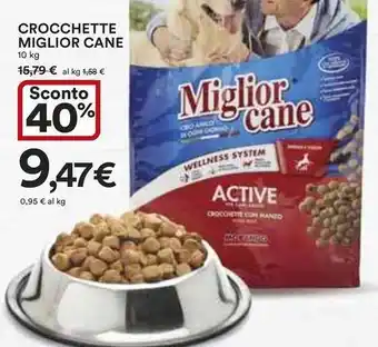 Ipercoop Crocchette miglior cane offerta