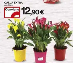 Ipercoop Calla extra offerta