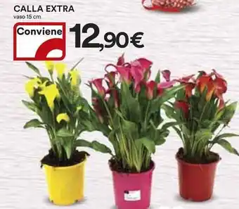 Ipercoop Calla extra offerta