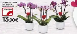 Ipercoop Composizione orchidea multiflora offerta