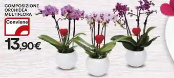 Ipercoop Composizione orchidea multiflora offerta