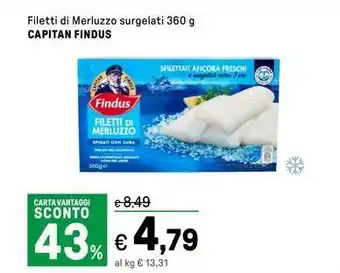 Iper La Grande Filetti di merluzzo surgelati CAPITAN FINDUS offerta